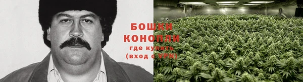 jwh Володарск