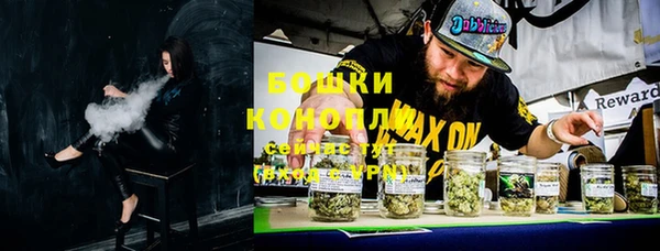 индика Верхнеуральск