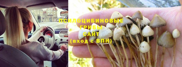jwh Володарск
