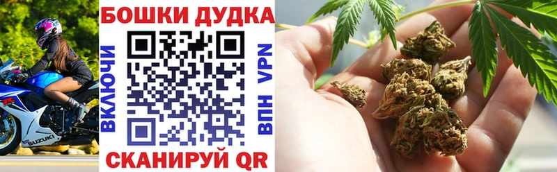 Каннабис OG Kush Елизаветинская
